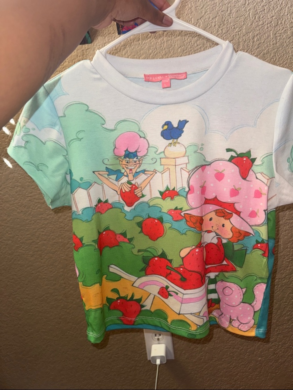 Dolls Kill Strawberry Graphic Crop Tee - Pastel Pink Green Red